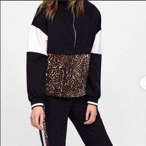 Zara Windbreaker Jacket